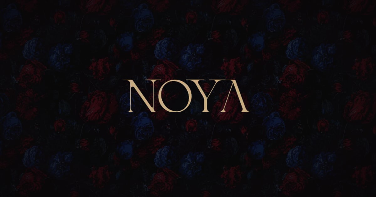 NOYA: image from noyaprishtina.com